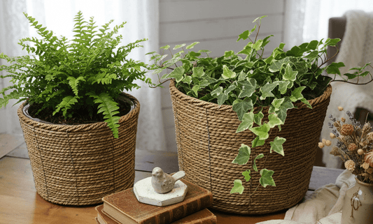 Seegras Übertopf Braun Natur - Boho Landhaus Blumentopf Innen {{ Shabby Chic und Landhaus Deko }} {{ www.Stein-Alt.de }}