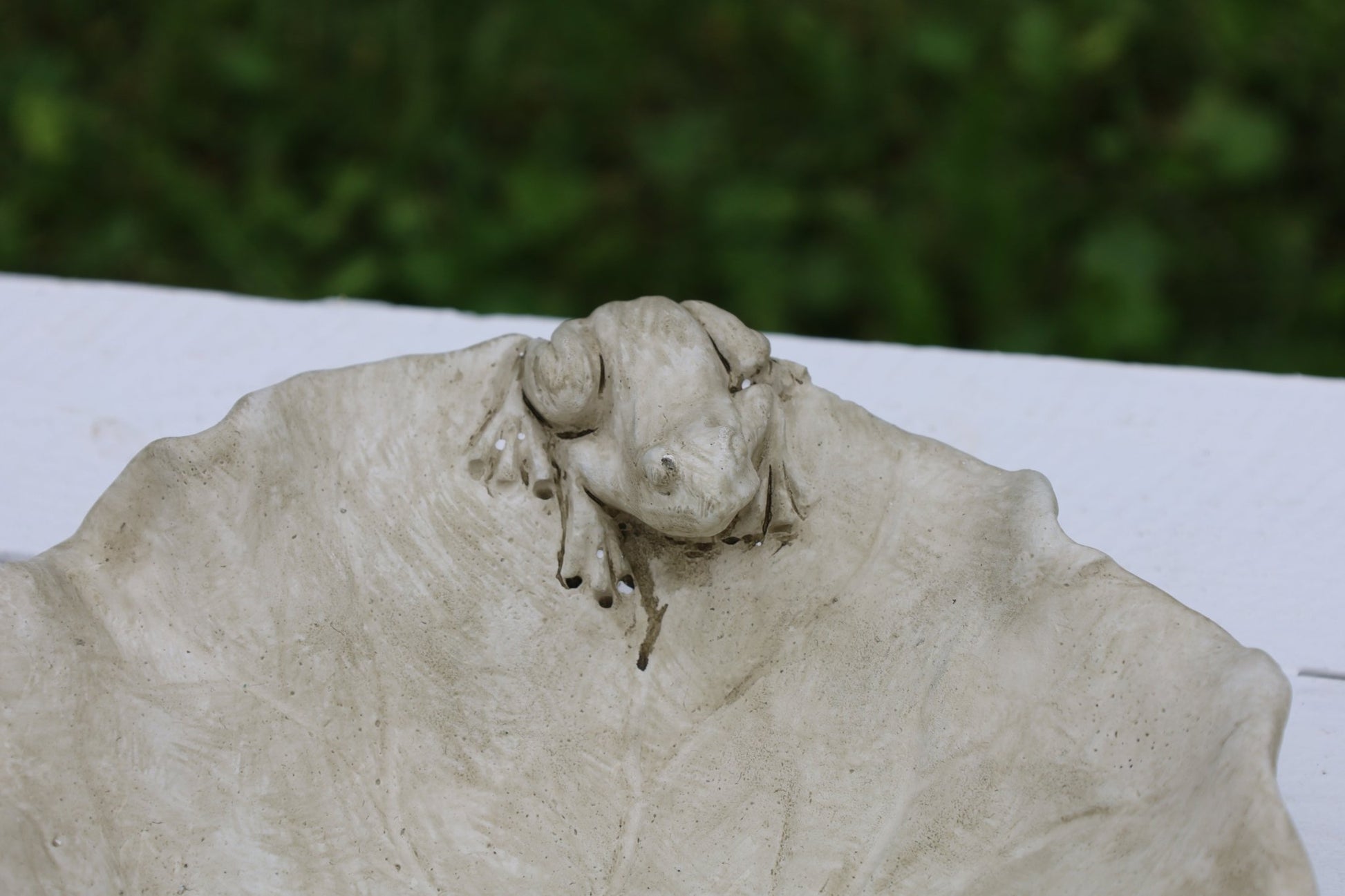 Vogeltränke Steinguss Blattform mit Frosch - Grau-Beige Landhausstil {{ Shabby Chic und Landhaus Deko }} {{ www.Stein-Alt.de }}